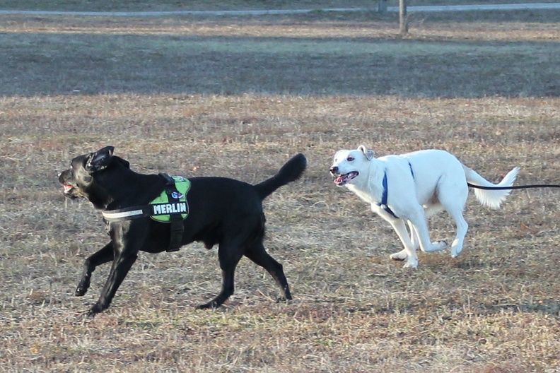 Athos Merlin 20-01-02-14-26-48 1673 a