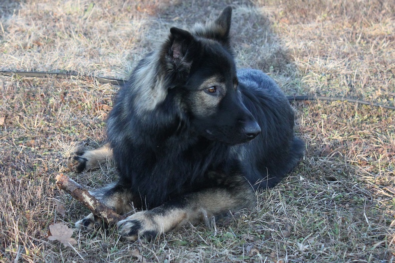 Athos Gizmo 2020-01-02-16-47-08 1732 a