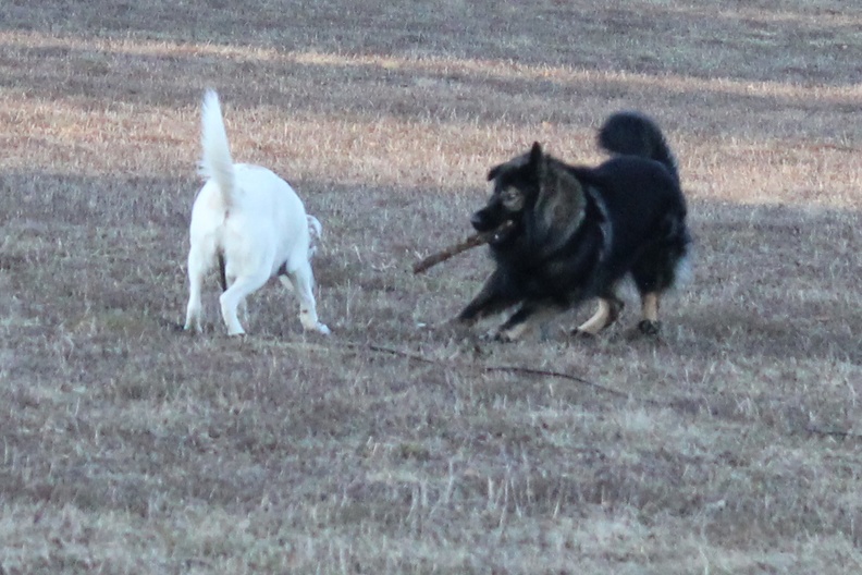 Athos Gizmo 2020-01-02-16-38-04 1680 a