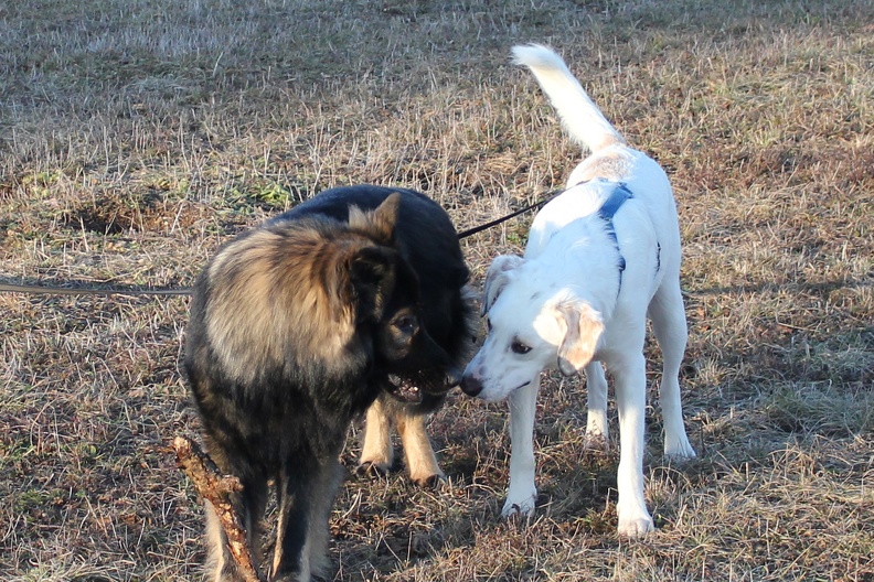 Athos_Gizmo_2020-01-02-16-40-08_1702_a.jpg