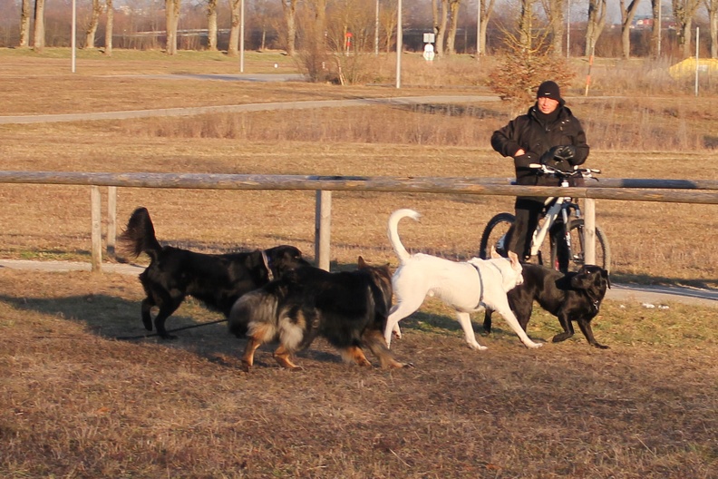 Athos Gizmo 2020-01-02-16-47-33 1734 a