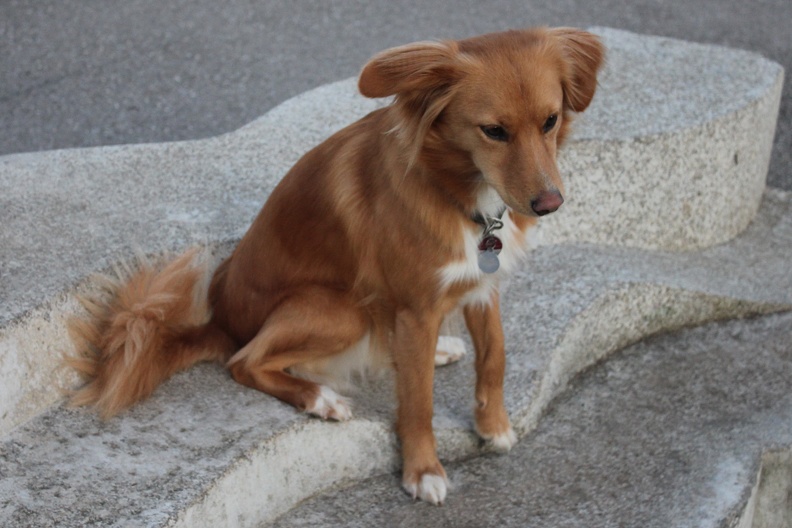 Bella 20-03-19-17-57-38 1751 a