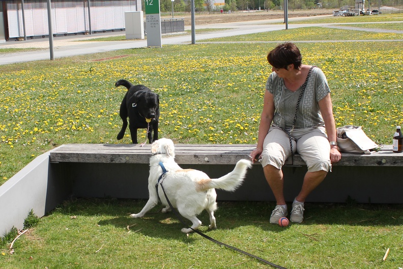 Athos Merlin 2020-04-19-13-17-28 1884 a