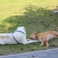 Athos Bella 2020-05-17-12-54-07 2009 a